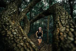 BIB: 
                            <button type="button" onclick="openModal(25671840)" class="btn btn-primary btn-sm float-right btn-popup" data-toggle="modal" data-target=".modal-high-quality">
                        <i class="fas fa-shopping-cart"></i> Add to Cart
                    </button>
                                            <button type="button" onclick="isThisMe(25671840, true)" class="btn btn-success btn-sm float-right btn-popup btn-isme hidden" data-toggle="tooltip" data-placement="bottom" title="นี่คือรูปของคุณใช่ไหม คลิกที่นี่เพื่อเอาเข้าอัลบั้ม">
                        <i class="fas fa-plus"></i> Add to album
                    </button>
                    <button type="button" onclick="isThisMe(25671840, false)" class="btn btn-warning btn-sm float-right btn-popup btn-isnotme hidden">
                        <i class="fas fa-ban"></i> Remove from album
                    </button>